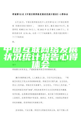 中国互联网络发展状况统计报告心得体会