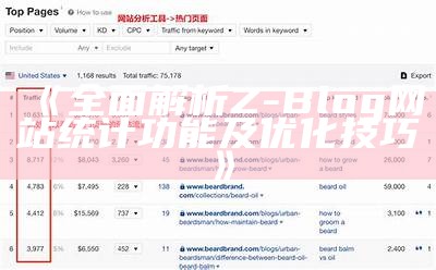 完整解析Z-Blog网站统计功能及优化技巧