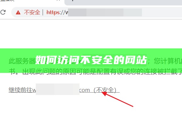 如何访问不安全的网站