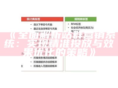 广泛解析站群营销系统：完成精准投放与后果优化的策略