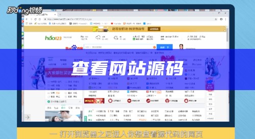 查看网站源码