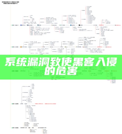 系统漏洞致使黑客入侵的危害