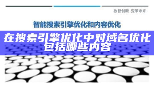 在搜素引擎优化中对域名优化包括哪些内容