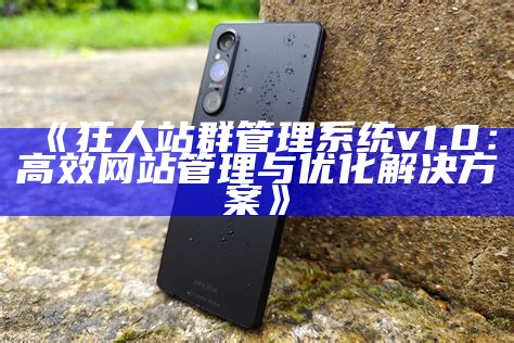 狂人站群管理系统v1.0：高效网站管理与优化方法