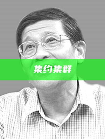 集约集群