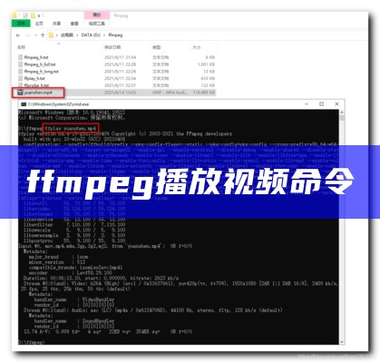 ffmpeg播放视频命令