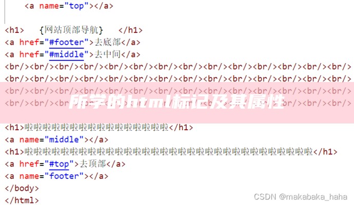 所学的html标记及其属性