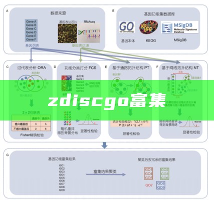 zdiscgo富集