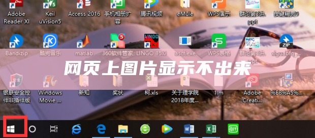 网站显示不出来图片