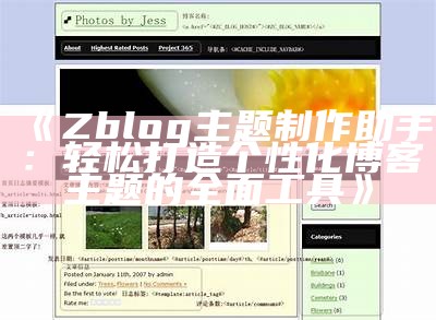 Zblog主题制作助手：轻松打造个性化博客主题的彻底工具