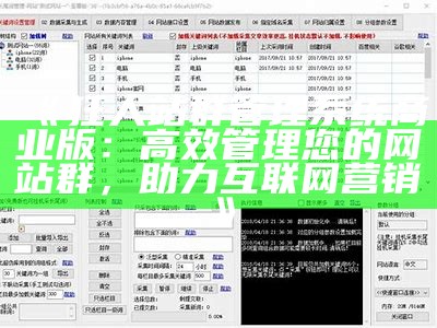 狂人站群管理系统商业版：高效管理您的网站群，助力互联网营销