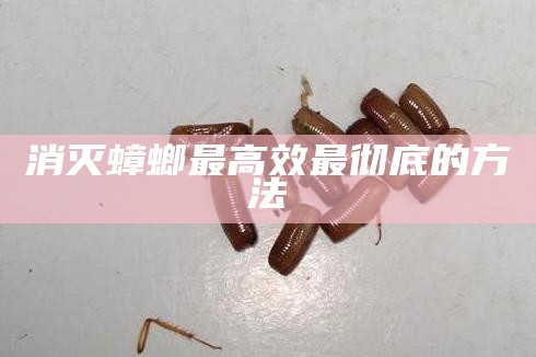 消灭蟑螂最高效最彻底的方法