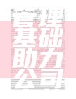 夯实财务管理基础助力公司高效发展