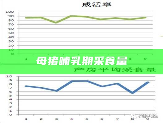 母猪哺乳期采食量