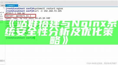 站群搭建与Nginx系统安全性调查及优化策略