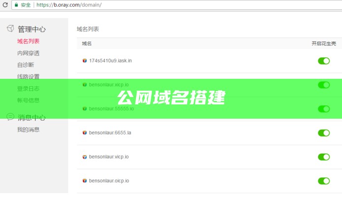 公网域名搭建