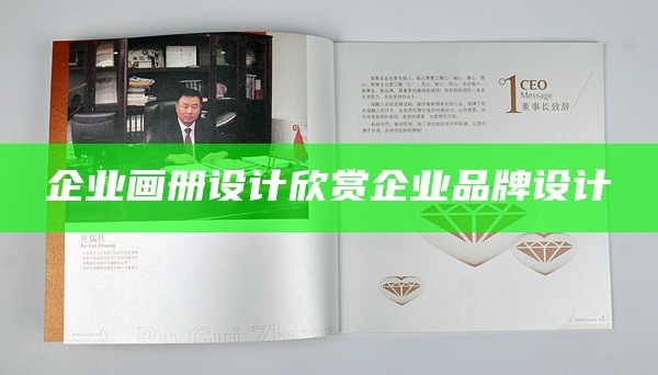 企业画册设计欣赏企业品牌设计