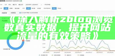 zblog大统计检视与使用：提升网站流量的有效策略