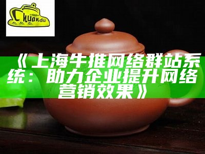 上海牛推网络群站系统：助力企业提升网络营销后果