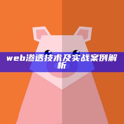 web渗透技术及实战案例解析