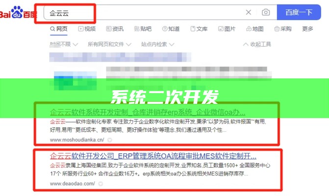 系统二次开发