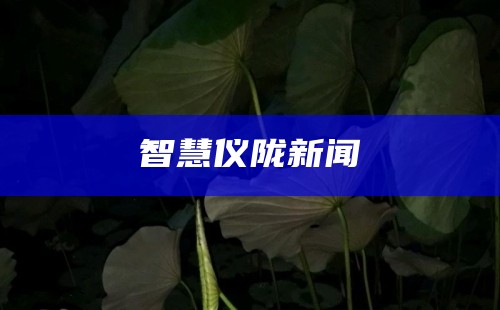 智慧仪陇新闻