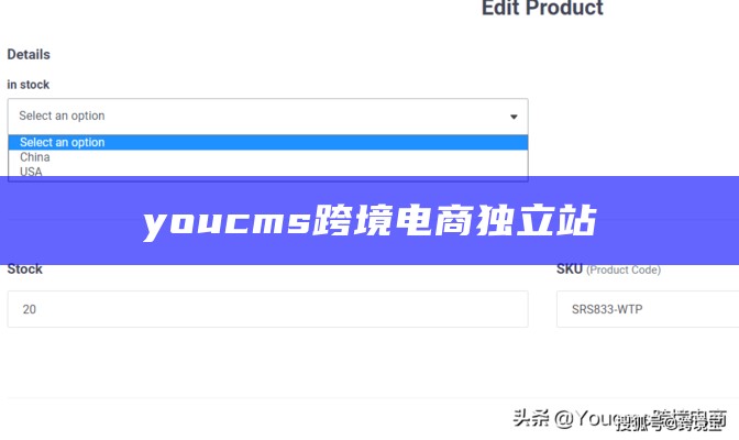 youcms 跨境电商独立站