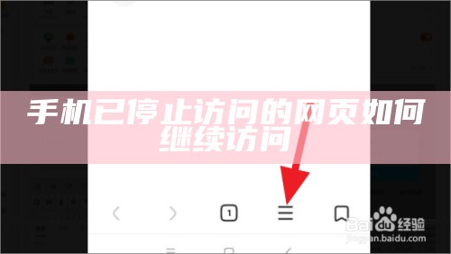 手机已停止访问的网页如何继续访问