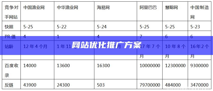 网站优化推广方案