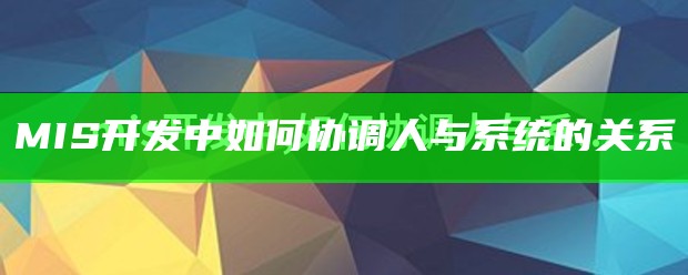 MIS开发中如何协调人与系统的关系