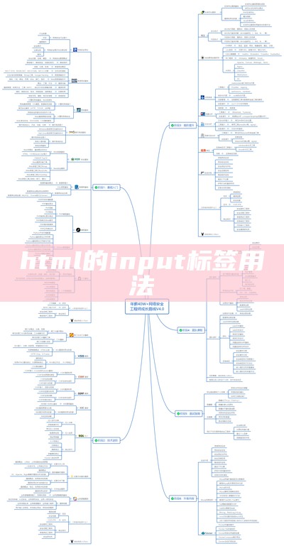 html的input标签用法