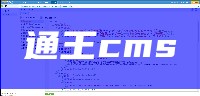 通王cms