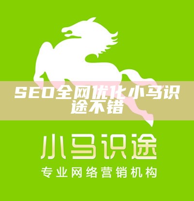 SEO全网优化小马识途不错