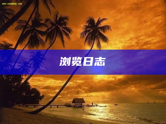 浏览日志