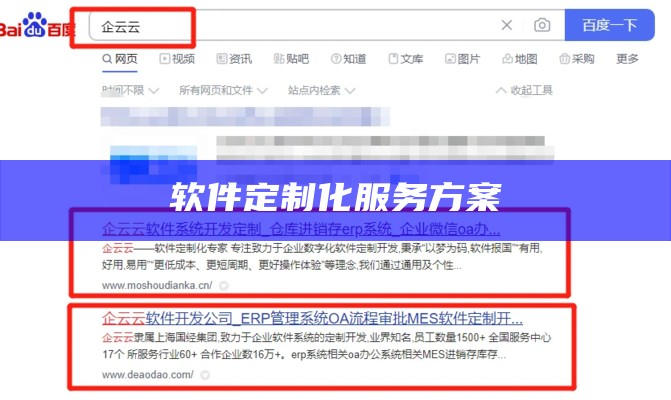 软件定制化服务方案