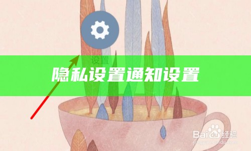 隐私设置通知设置