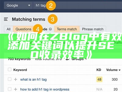 如何在ZBlog中有效添加关键词以提升 SEO 收录效率