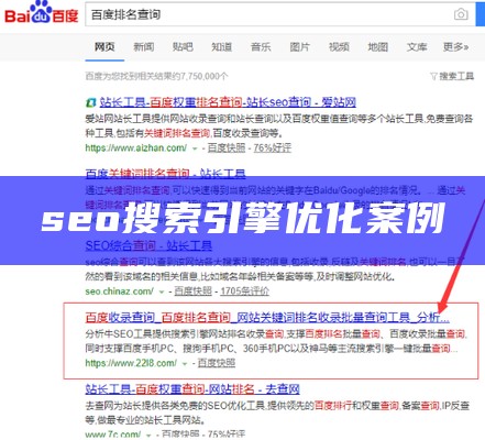 seo搜索引擎优化案例