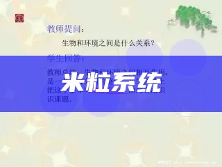 米粒系统