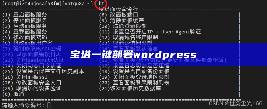 宝塔一键部署wordpress