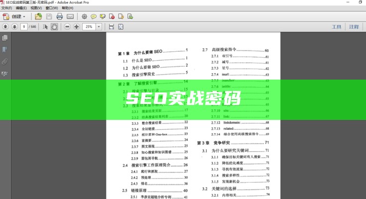 SEO实战密码