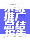 系统推广总结报告