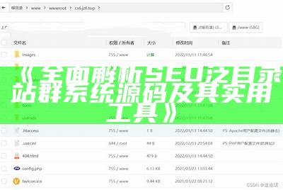 广泛解析SEO泛目录站群系统源码及其实用工具