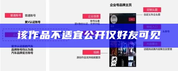 该作品不适宜公开仅好友可见