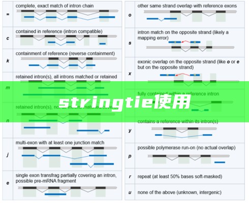 stringtie使用