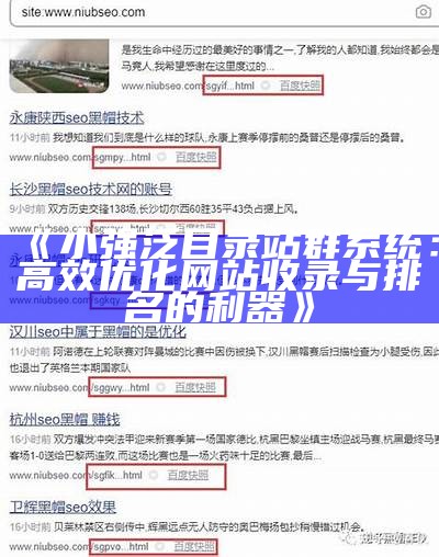 小强泛目录站群系统：高效优化网站收录与排名的利器