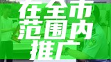 在全市范围内推广