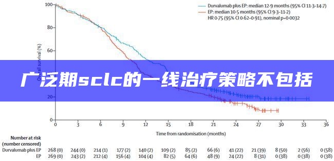 广泛期sclc的一线治疗策略不包括