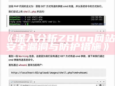 深入研究ZBlog网站安全漏洞与防护措施