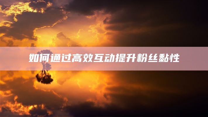 如何通过高效互动提升粉丝黏性